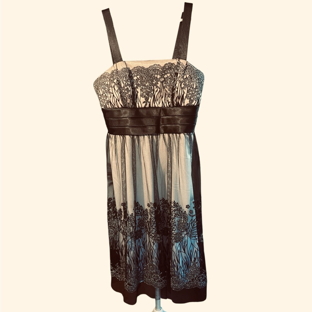 Dress Barn Black and Cream Lace Prom Dress